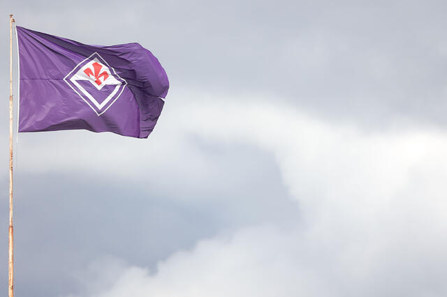 Bandiera della Fiorentina