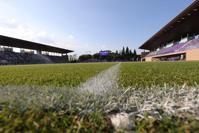 Stadio Curva Fiesole del Viola Park