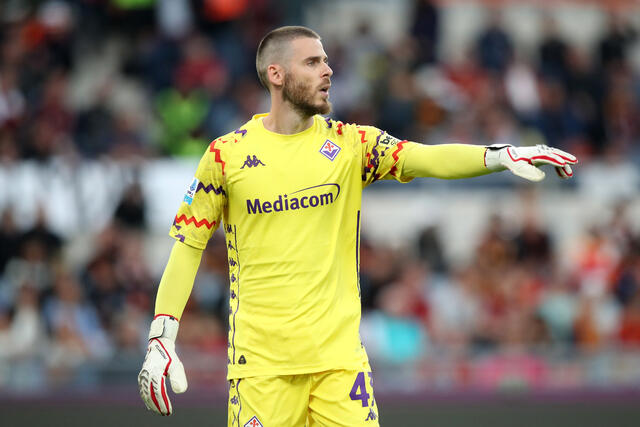 Il portiere della Fiorentina David De Gea in campo